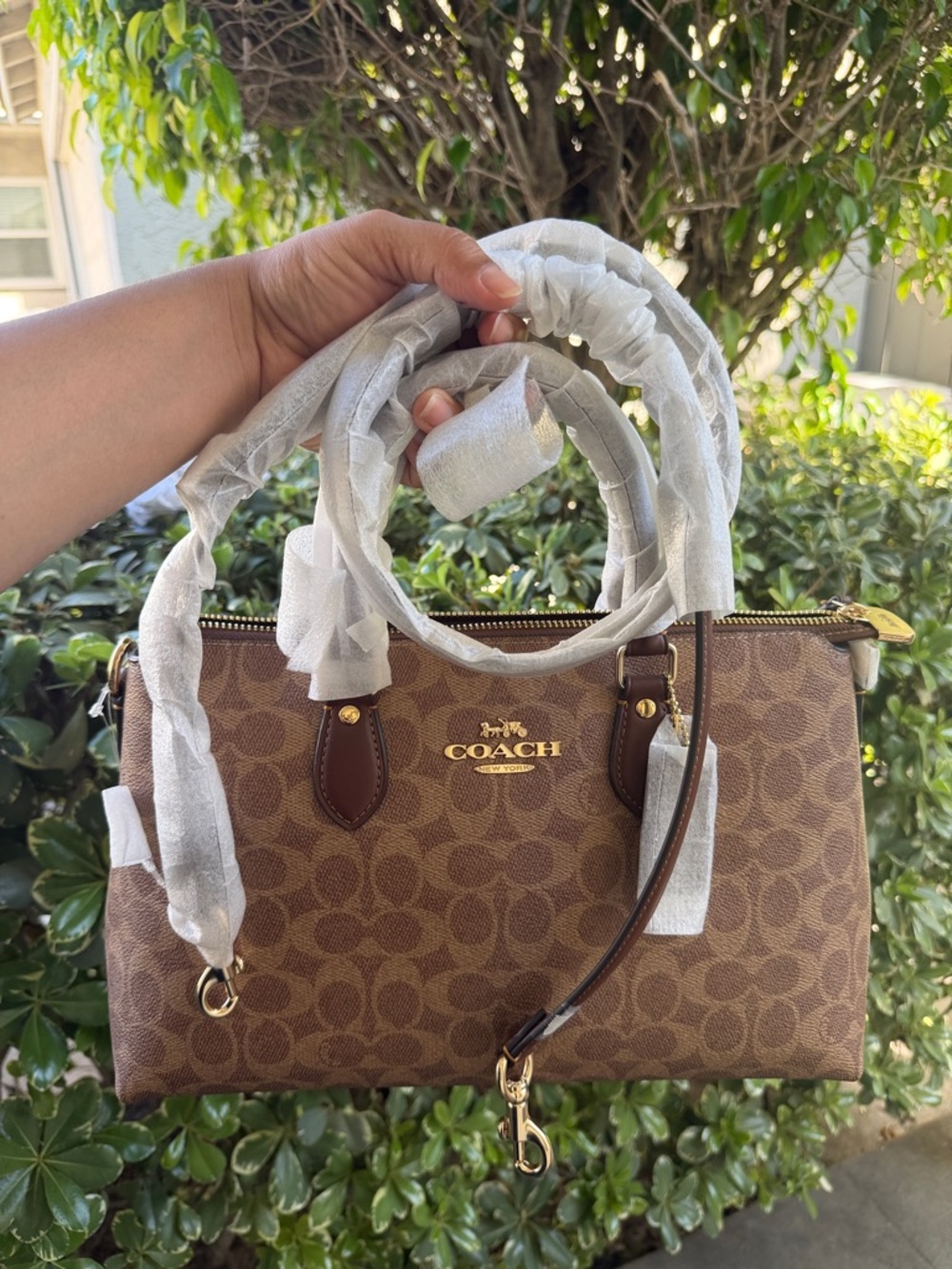Coach Georgia Satchel Bag In Signature Canvas New